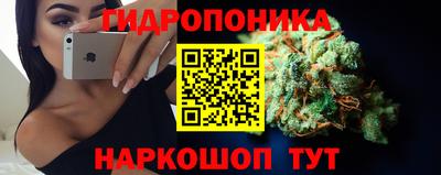 спиды Канаш