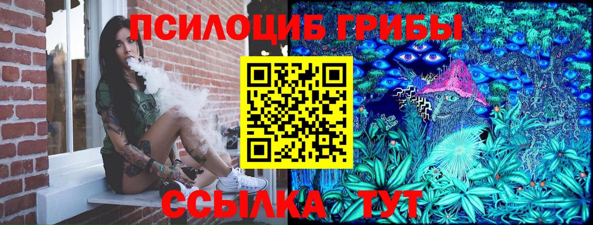 Галлюциногенные грибы MAGIC MUSHROOMS  Вход с VPN  Ленинск-Кузнецкий 