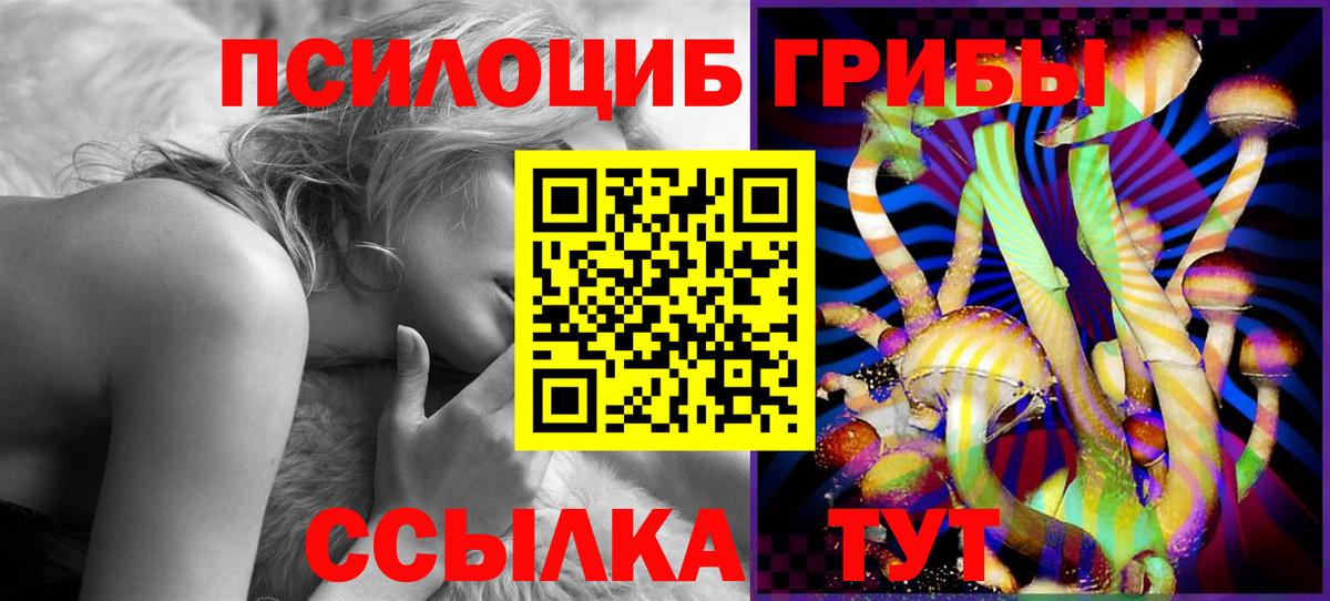 Псилоцибиновые грибы прущие грибы Ленинск-Кузнецкий